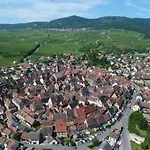 Au Chateau Fleuri * Eguisheim