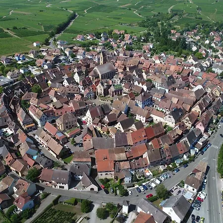 Au Chateau Fleuri Eguisheim